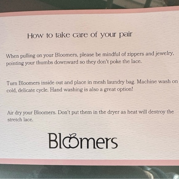 BLOOMERS “sexy granny panties” Cougar lace/Her Highness SneezeProof in “latte”: - Picture 11 of 14